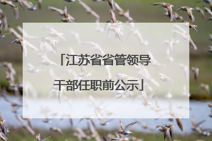 江苏省省管领导干部任职前公示