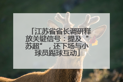 江苏省省长调研释放关键信号：提及“苏超”，还下场与小球员踢球互动