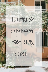 江西乐安：小小芦笋“破”出致富路