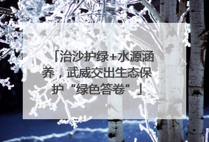 治沙护绿+水源涵养，武威交出生态保护“绿色答卷”
