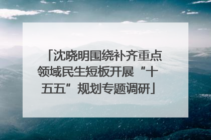 沈晓明围绕补齐重点领域民生短板开展“十五五”规划专题调研