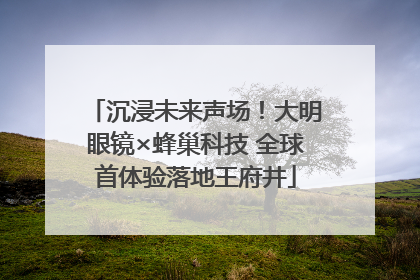 沉浸未来声场！大明眼镜×蜂巢科技 全球首体验落地王府井