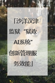 沙洋汉津监狱“狱政AI系统”创新管理服务效能