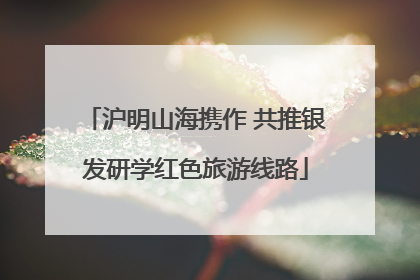 沪明山海携作 共推银发研学红色旅游线路