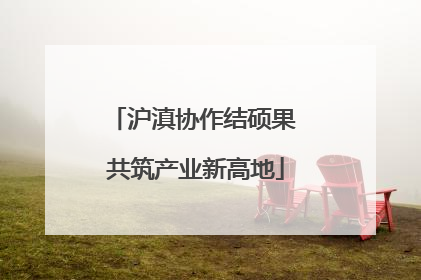 沪滇协作结硕果 共筑产业新高地