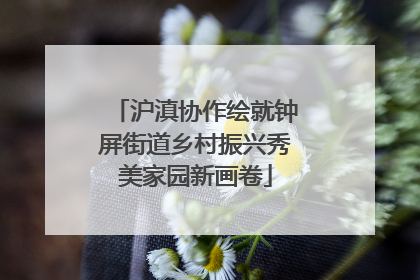 沪滇协作绘就钟屏街道乡村振兴秀美家园新画卷