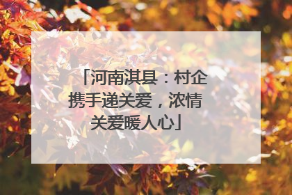 河南淇县：村企携手递关爱，浓情关爱暖人心