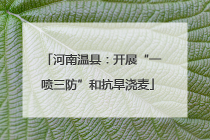 河南温县：开展“一喷三防”和抗旱浇麦