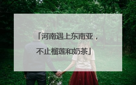 河南遇上东南亚，不止榴莲和奶茶
