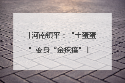 河南镇平：“土蛋蛋”变身“金疙瘩”