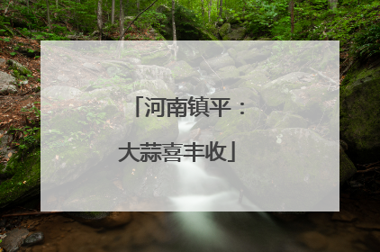 河南镇平：大蒜喜丰收