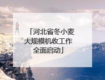 河北省冬小麦大规模机收工作全面启动