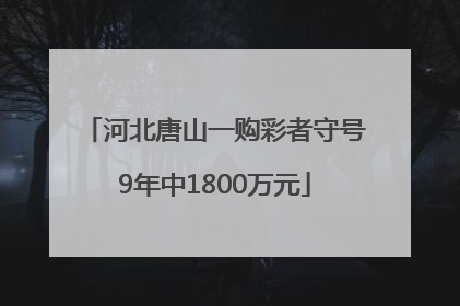 河北唐山一购彩者守号9年中1800万元