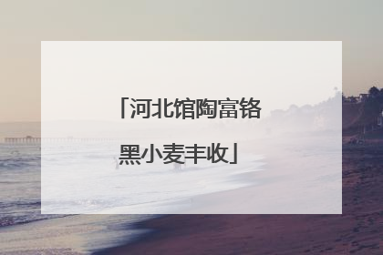 河北馆陶富铬黑小麦丰收