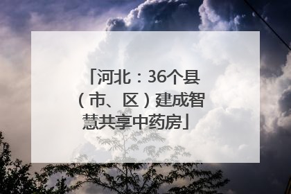 河北：36个县（市、区）建成智慧共享中药房