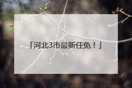 河北3市最新任免！
