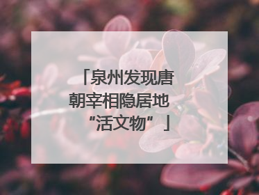 泉州发现唐朝宰相隐居地“活文物”