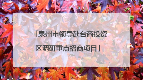 泉州市领导赴台商投资区调研重点招商项目