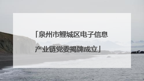 泉州市鲤城区电子信息产业链党委揭牌成立