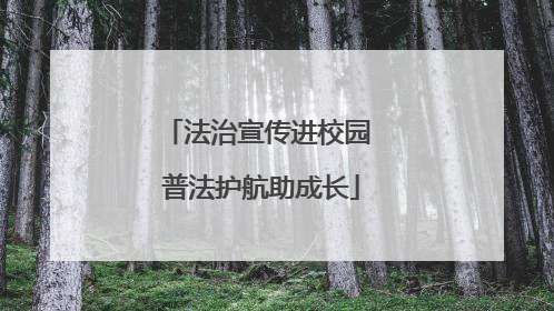 法治宣传进校园 普法护航助成长