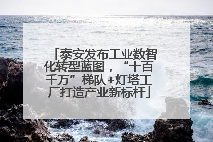 泰安发布工业数智化转型蓝图，“十百千万”梯队+灯塔工厂打造产业新标杆