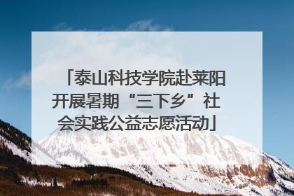 泰山科技学院赴莱阳开展暑期“三下乡”社会实践公益志愿活动