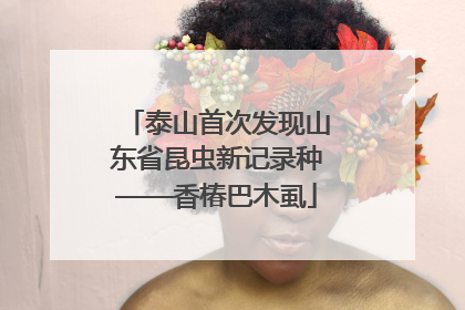 泰山首次发现山东省昆虫新记录种——香椿巴木虱