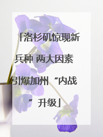 洛杉矶惊现新兵种 两大因素引爆加州“内战”升级