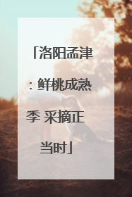 洛阳孟津：鲜桃成熟季 采摘正当时