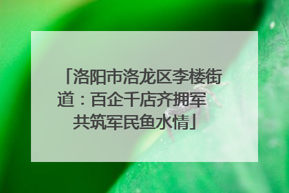 洛阳市洛龙区李楼街道：百企千店齐拥军 共筑军民鱼水情