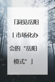 洞见岳阳丨市场化办会的“岳阳模式”