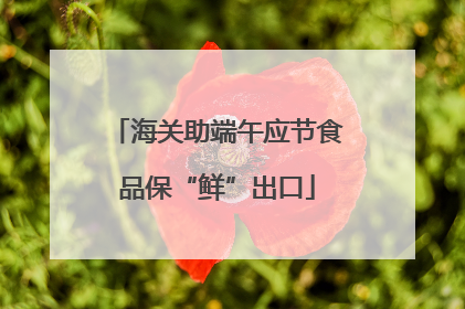 海关助端午应节食品保“鲜”出口