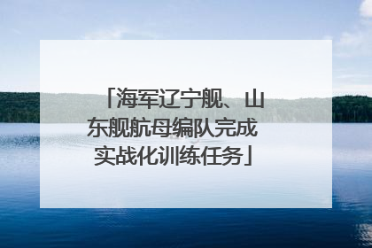 海军辽宁舰、山东舰航母编队完成实战化训练任务