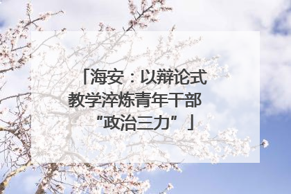 海安：以辩论式教学淬炼青年干部“政治三力”