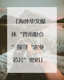 海外华文媒体“晋南粮仓”探寻“农业芯片”密码