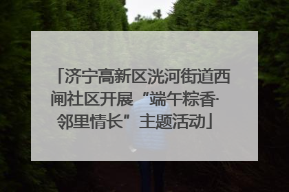 济宁高新区洸河街道西闸社区开展“端午粽香·邻里情长”主题活动