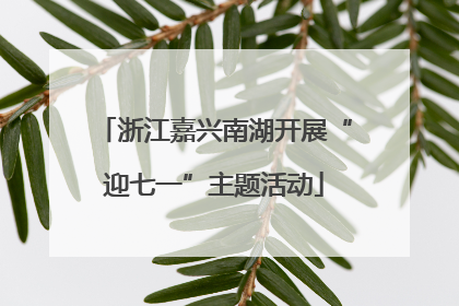 浙江嘉兴南湖开展“迎七一”主题活动