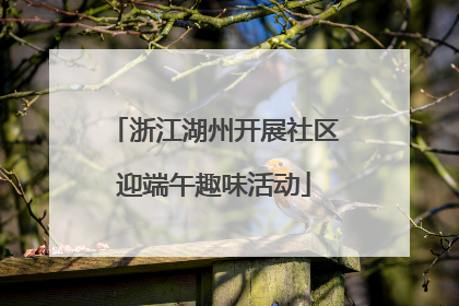 浙江湖州开展社区迎端午趣味活动