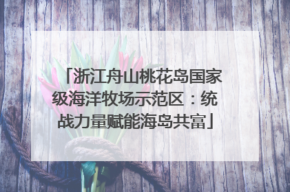 浙江舟山桃花岛国家级海洋牧场示范区：统战力量赋能海岛共富
