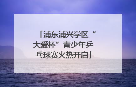 浦东浦兴学区“大爱杯”青少年乒乓球赛火热开启