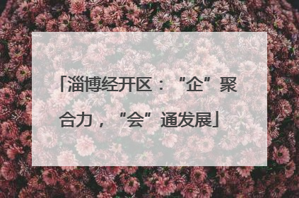 淄博经开区：“企”聚合力，“会”通发展