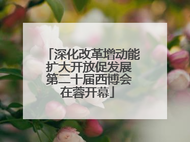 深化改革增动能 扩大开放促发展 第二十届西博会在蓉开幕