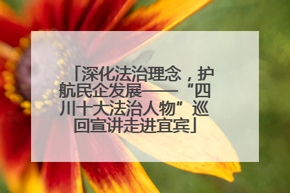 深化法治理念，护航民企发展——“四川十大法治人物”巡回宣讲走进宜宾
