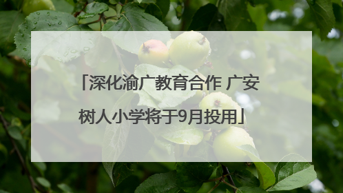 深化渝广教育合作 广安树人小学将于9月投用