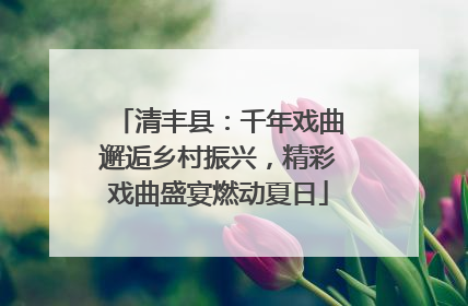 清丰县：千年戏曲邂逅乡村振兴，精彩戏曲盛宴燃动夏日