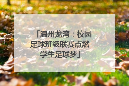 温州龙湾：校园足球班级联赛点燃学生足球梦