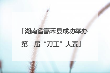湖南省嘉禾县成功举办第二届“刀王”大赛