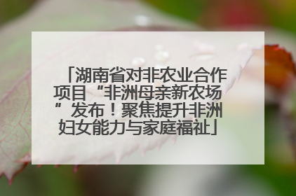 湖南省对非农业合作项目“非洲母亲新农场”发布！聚焦提升非洲妇女能力与家庭福祉