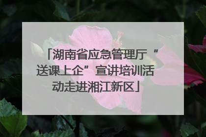 湖南省应急管理厅“送课上企”宣讲培训活动走进湘江新区