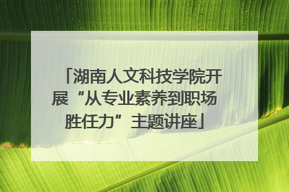 湖南人文科技学院开展“从专业素养到职场胜任力”主题讲座